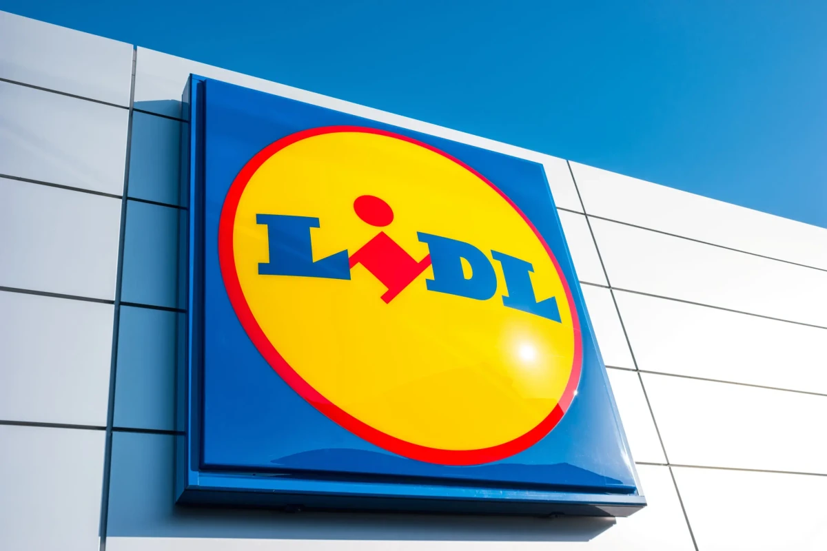 Lidl rilancia la stagione verde piante d’autunno in offerta per trasformare casa e balcone_