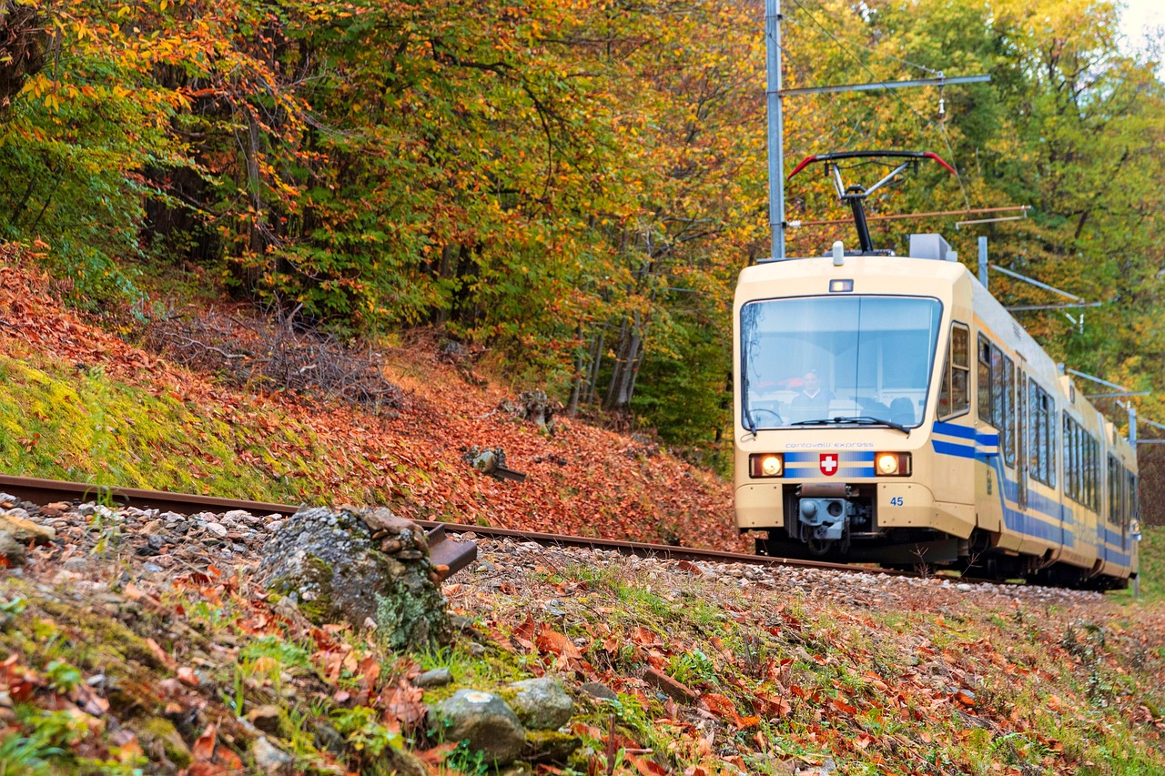 Treno autunno